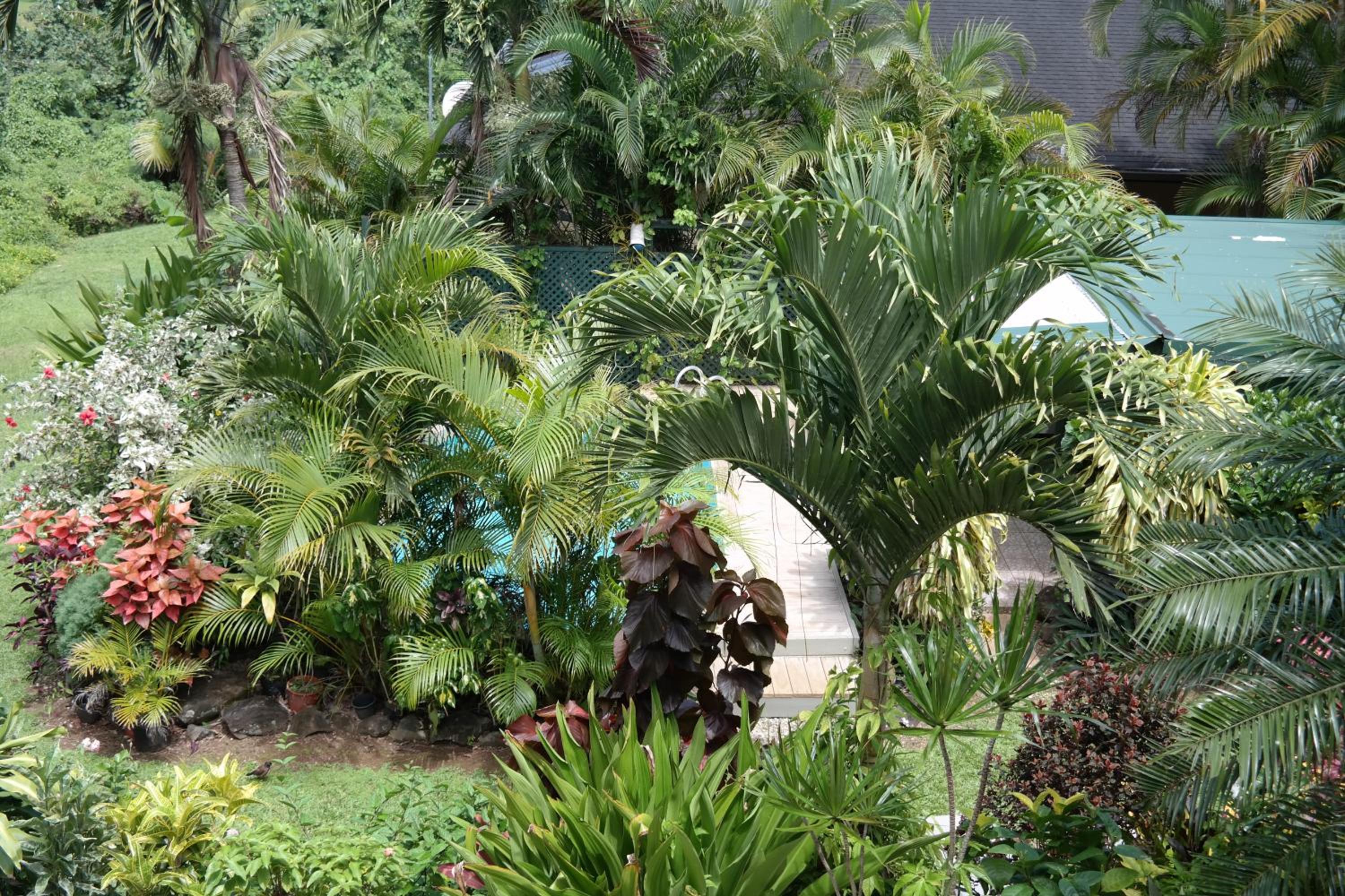 Photo 47