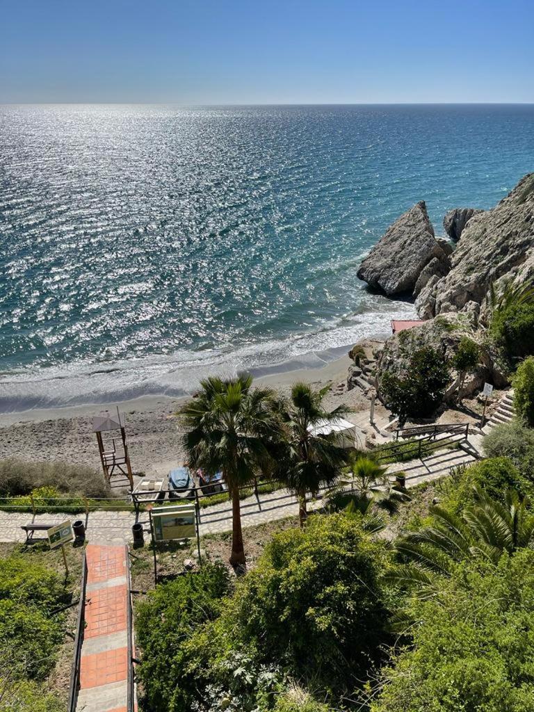 Monte CIELO