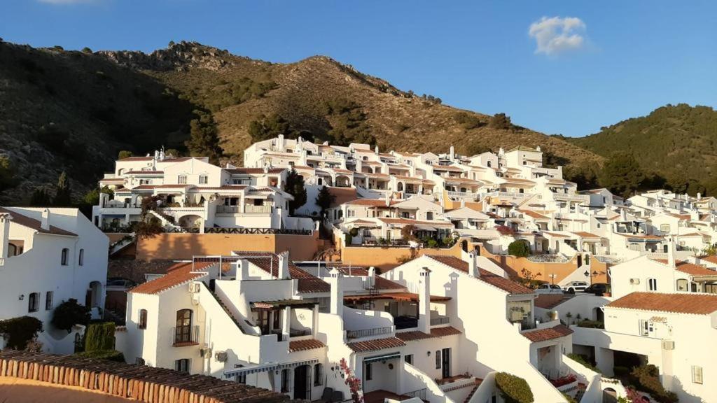 Monte CIELO