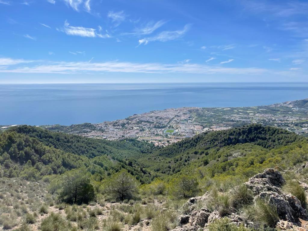 Monte CIELO