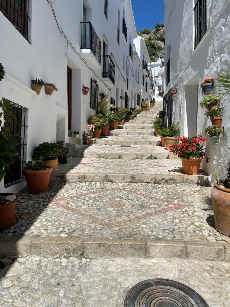 Monte CIELO