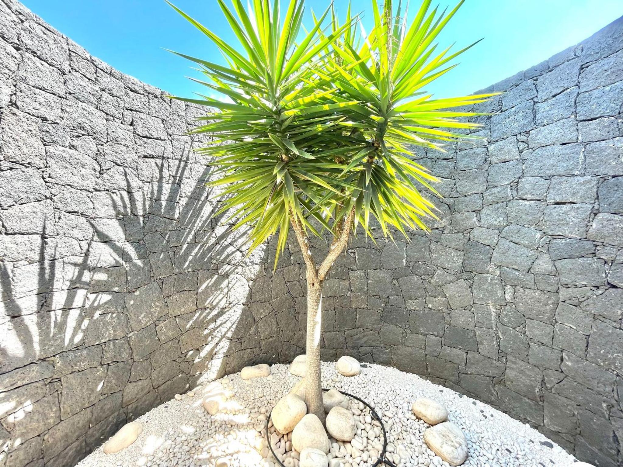 Villas Mamma Mia pool heat Private & Jacuzzi