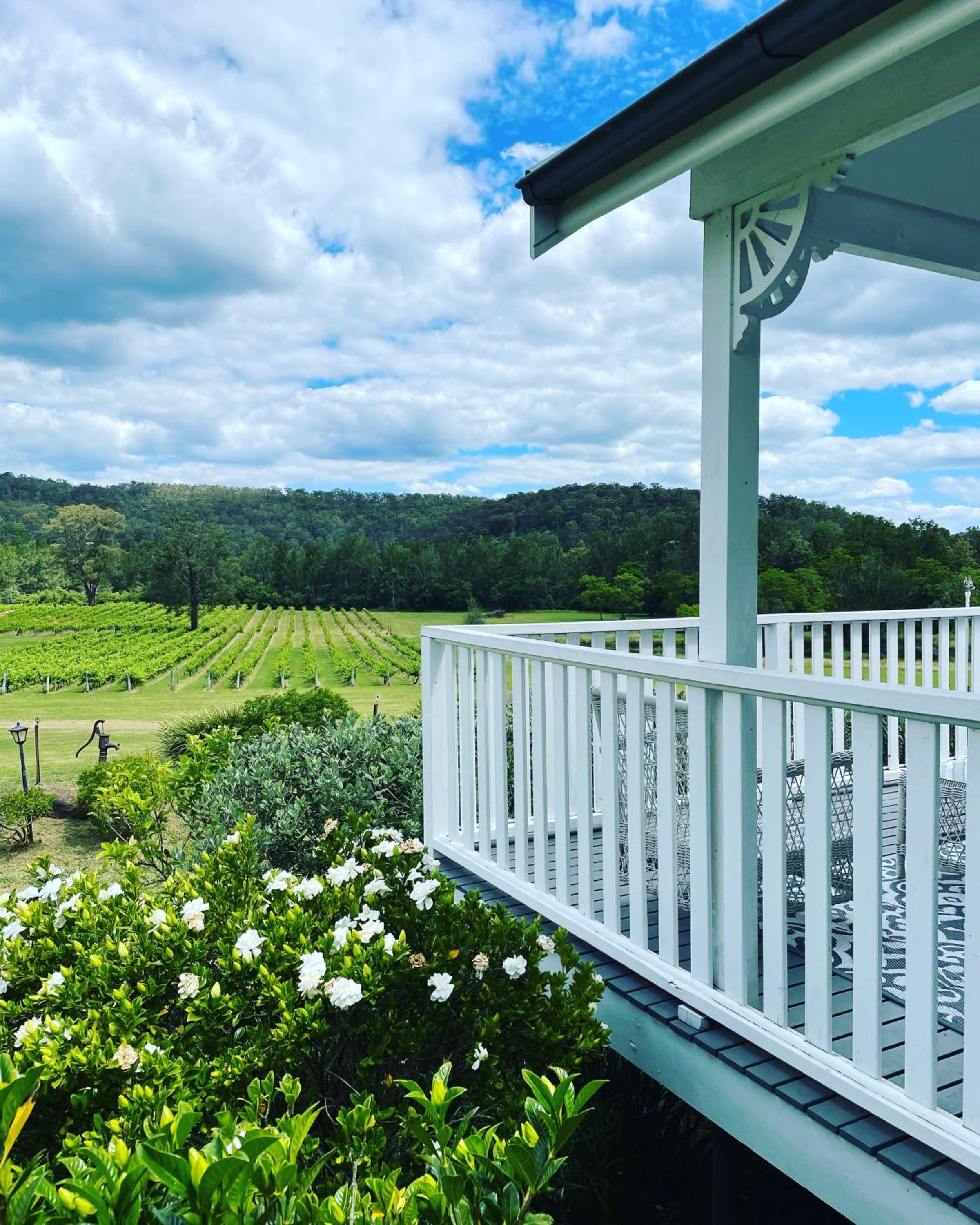 Wollombi Wines