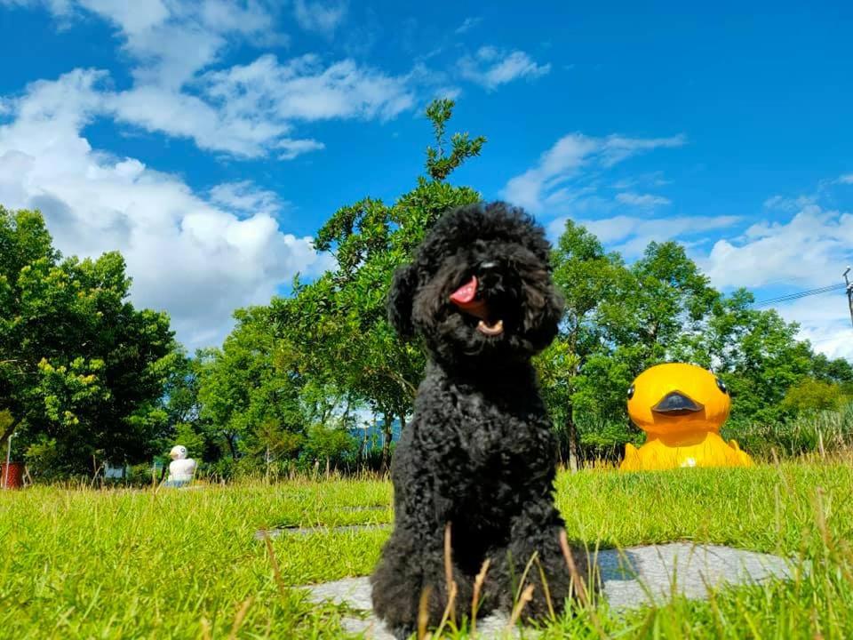 依比鴨鴨水岸會館 Ducking House