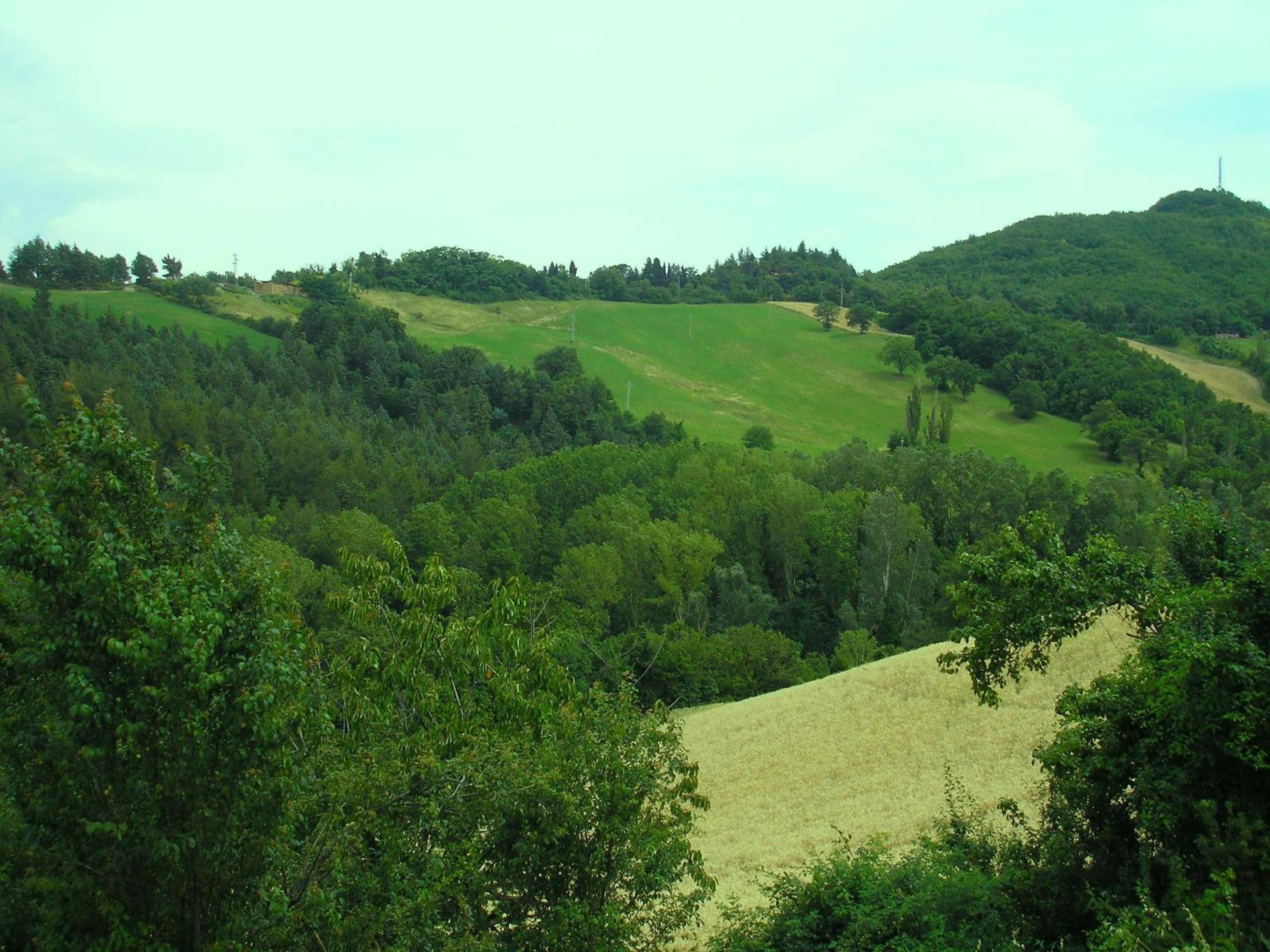 Agriturismo Cà Ferro