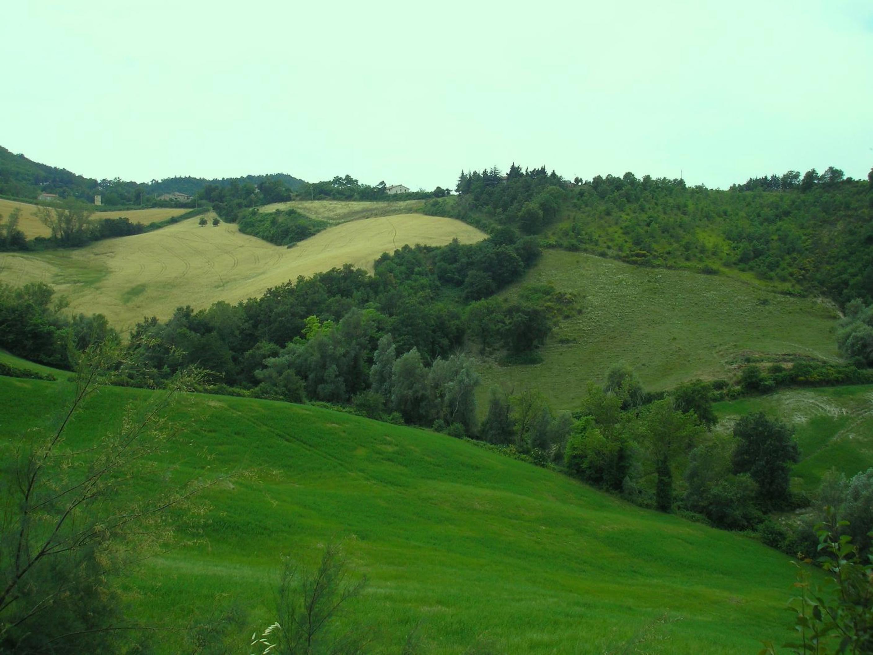 Agriturismo Cà Ferro