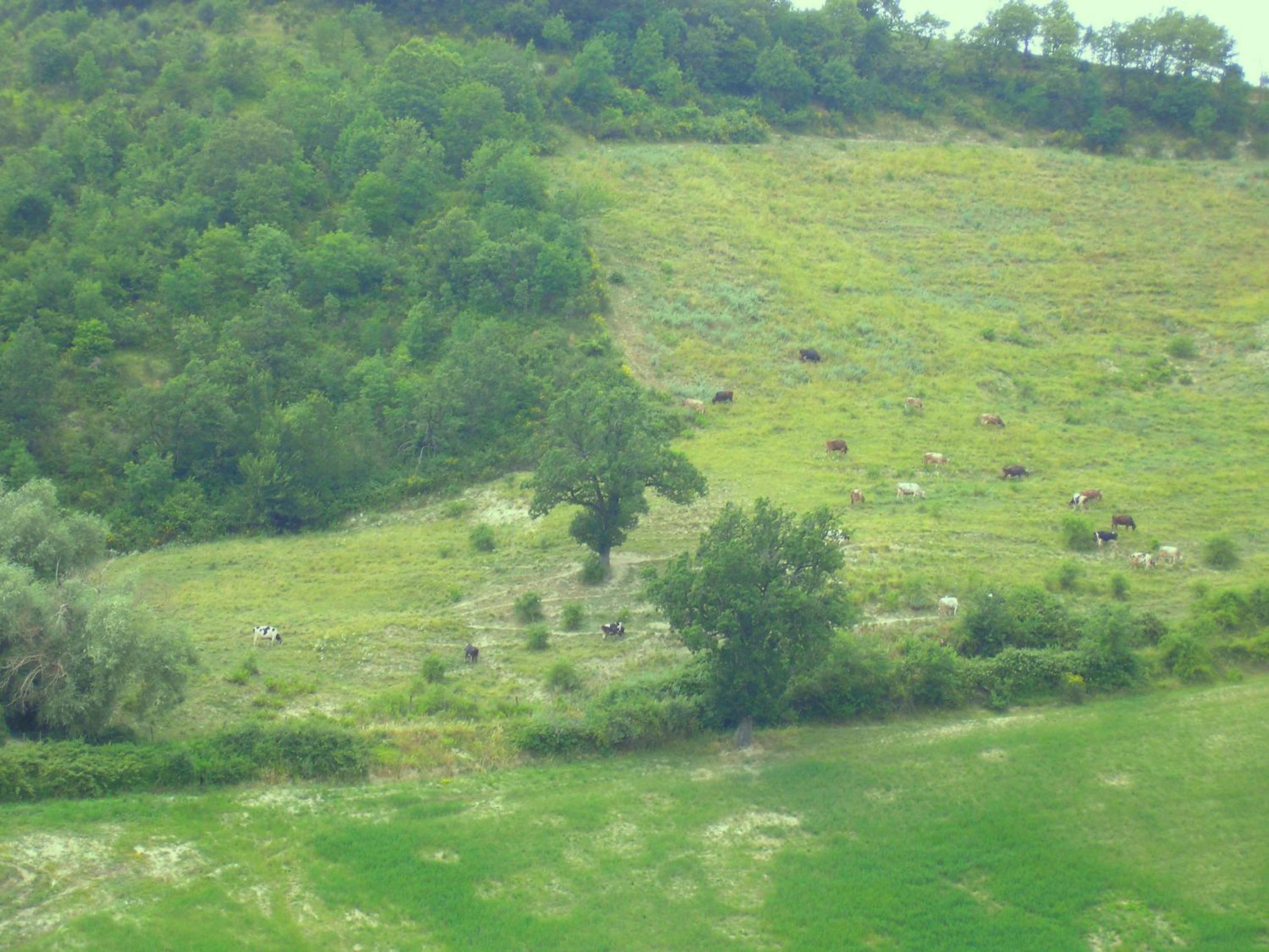 Agriturismo Cà Ferro