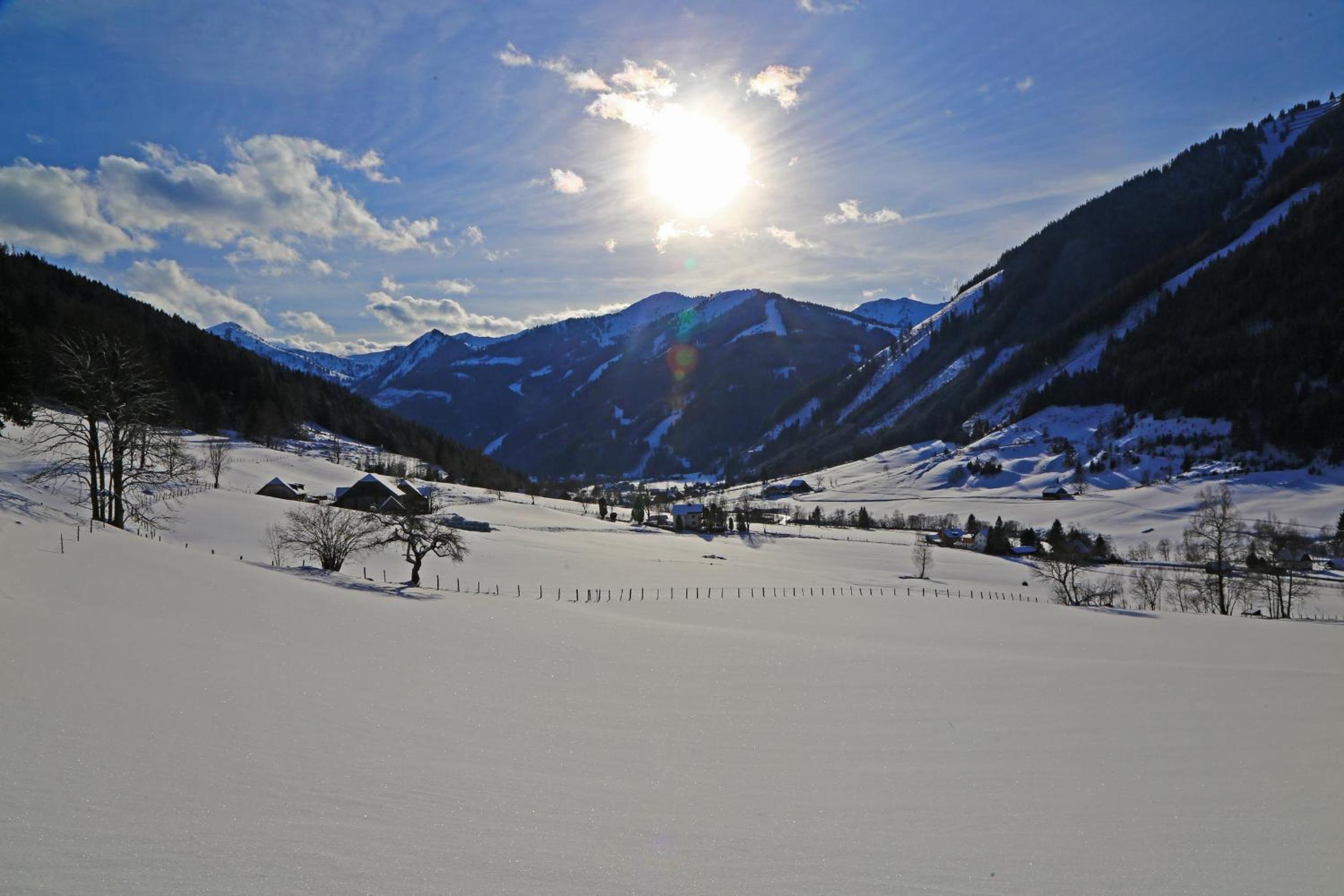 Der Perweinhof