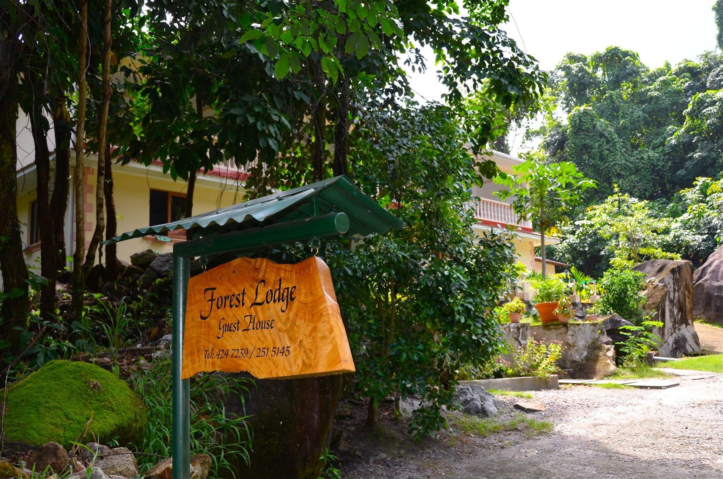 Forest Lodge photo 2