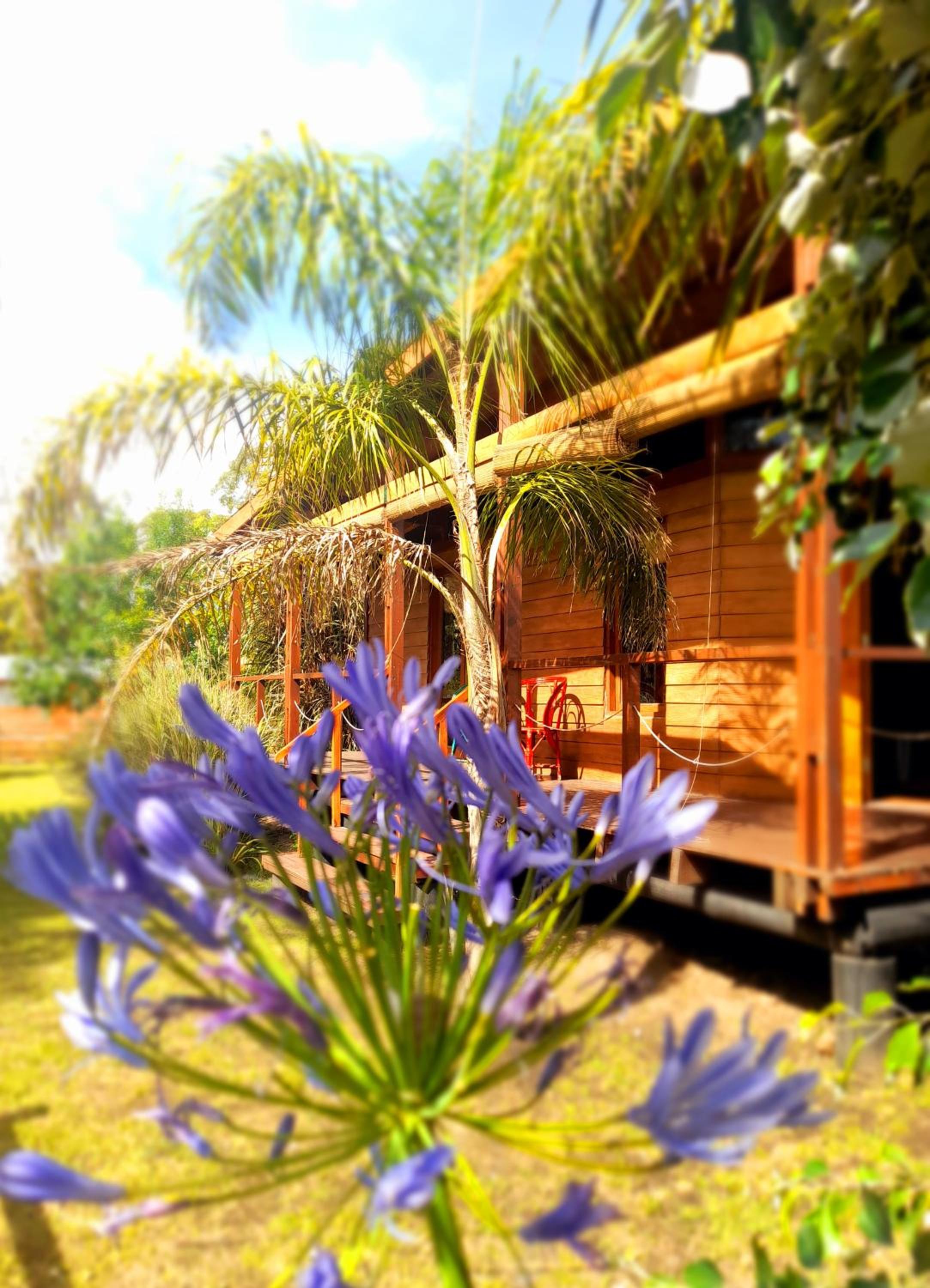 Cabaña en la Colina