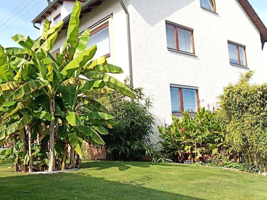 Ferienwohnung Wiesental 89331 Burgau, Wiesentalstrasse 1 - Property Image 1
