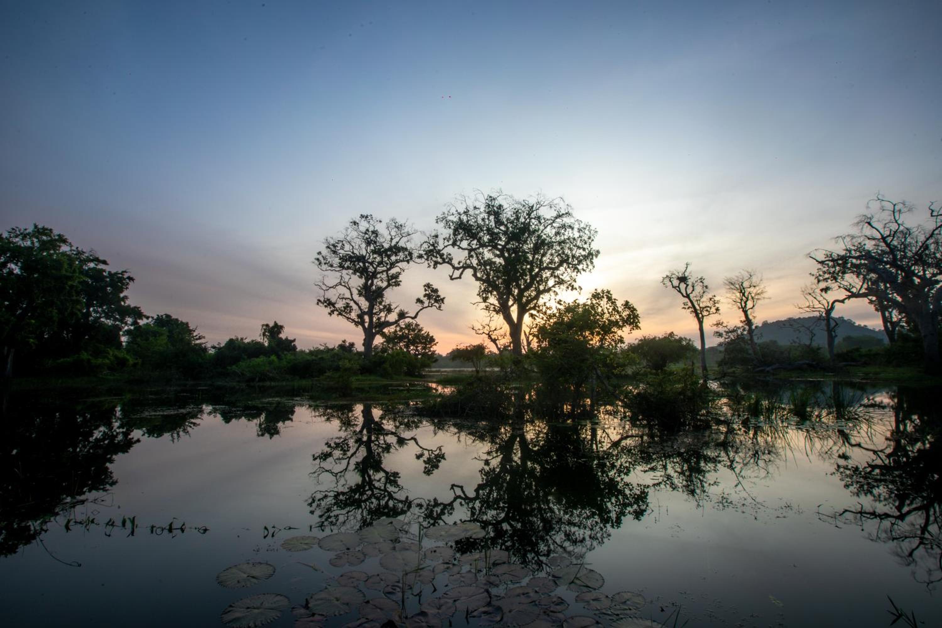 Leopard Trails Yala