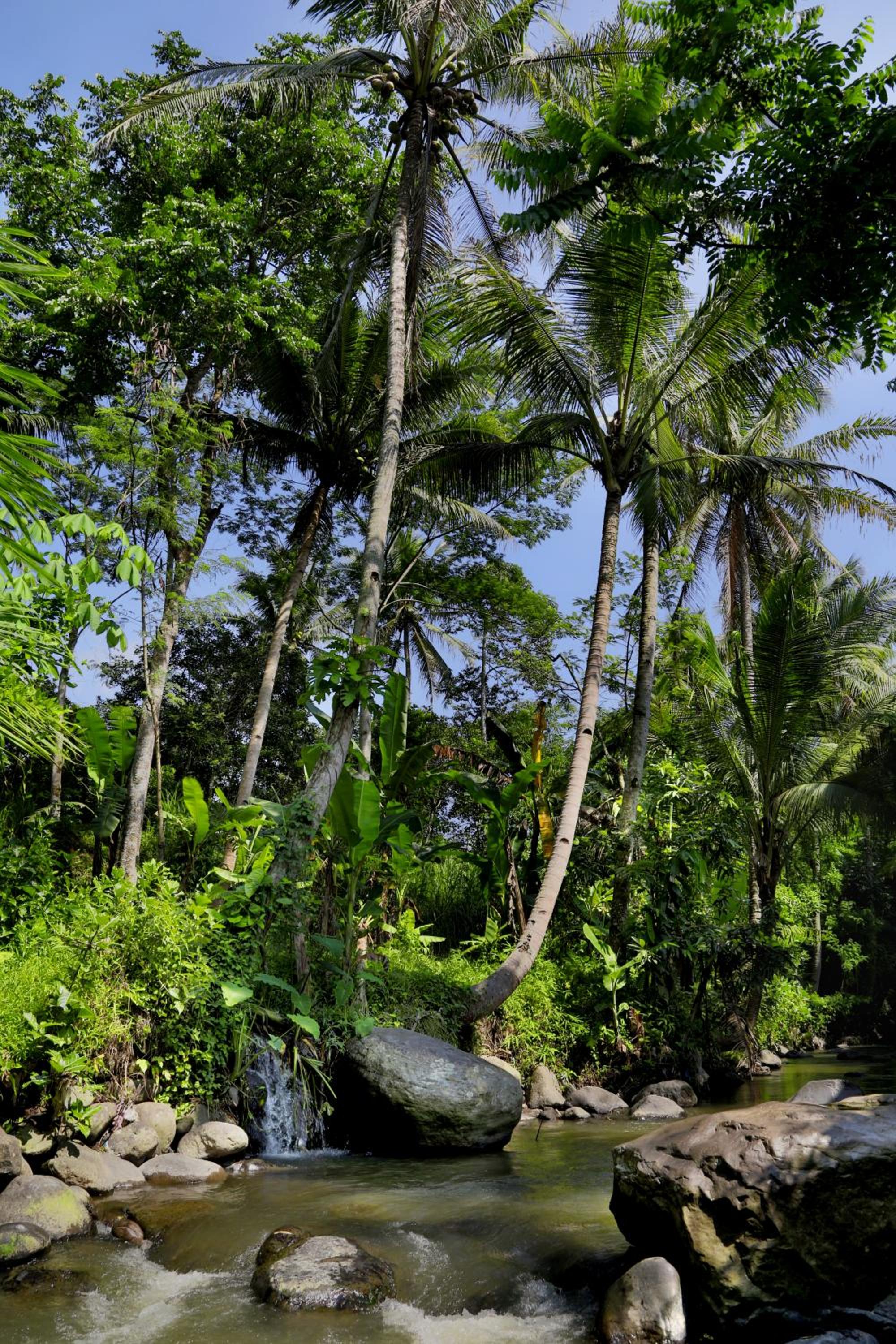 Amata Borobudur Resort