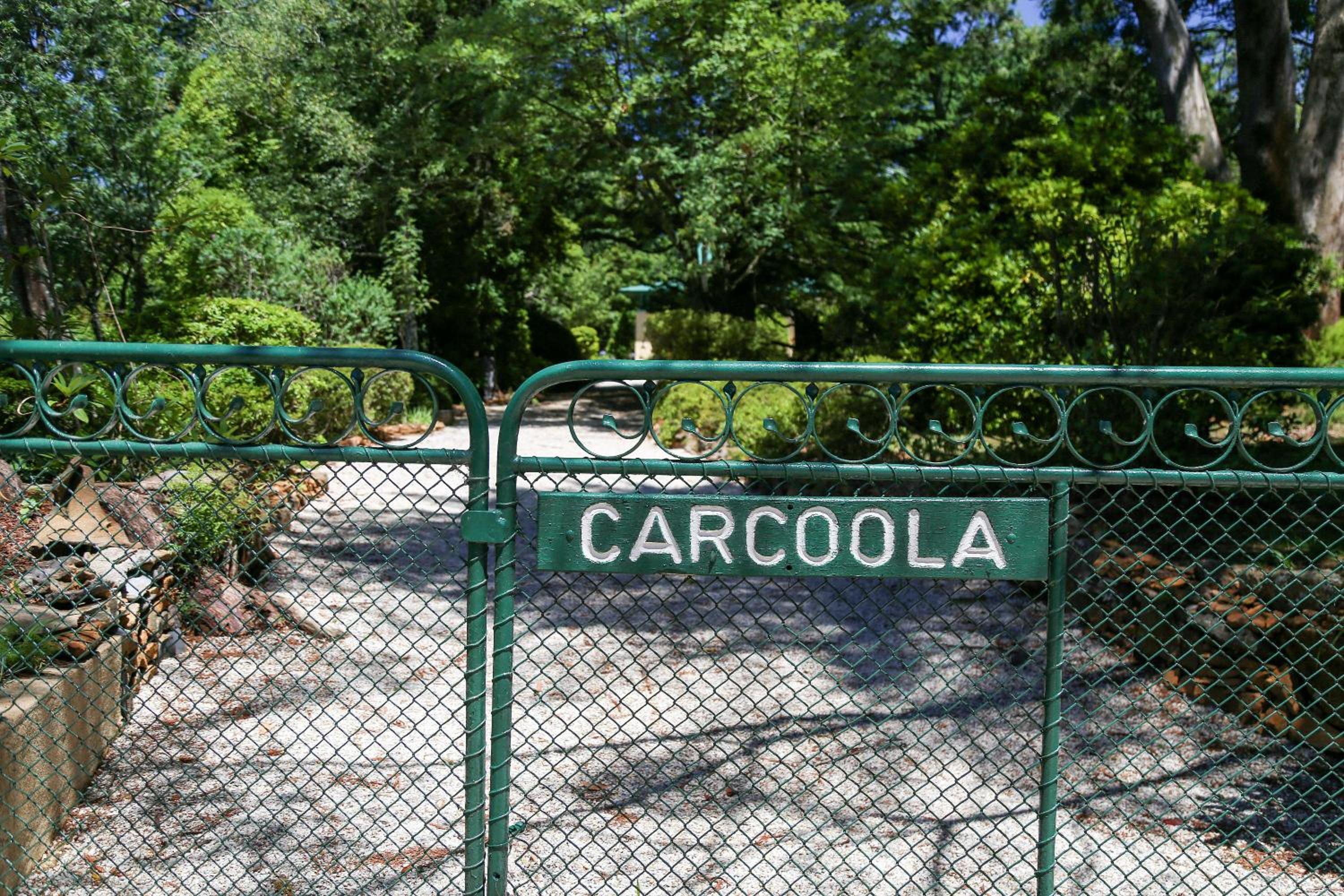 Carcoola