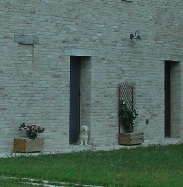 Agriturismo Cà Ferro