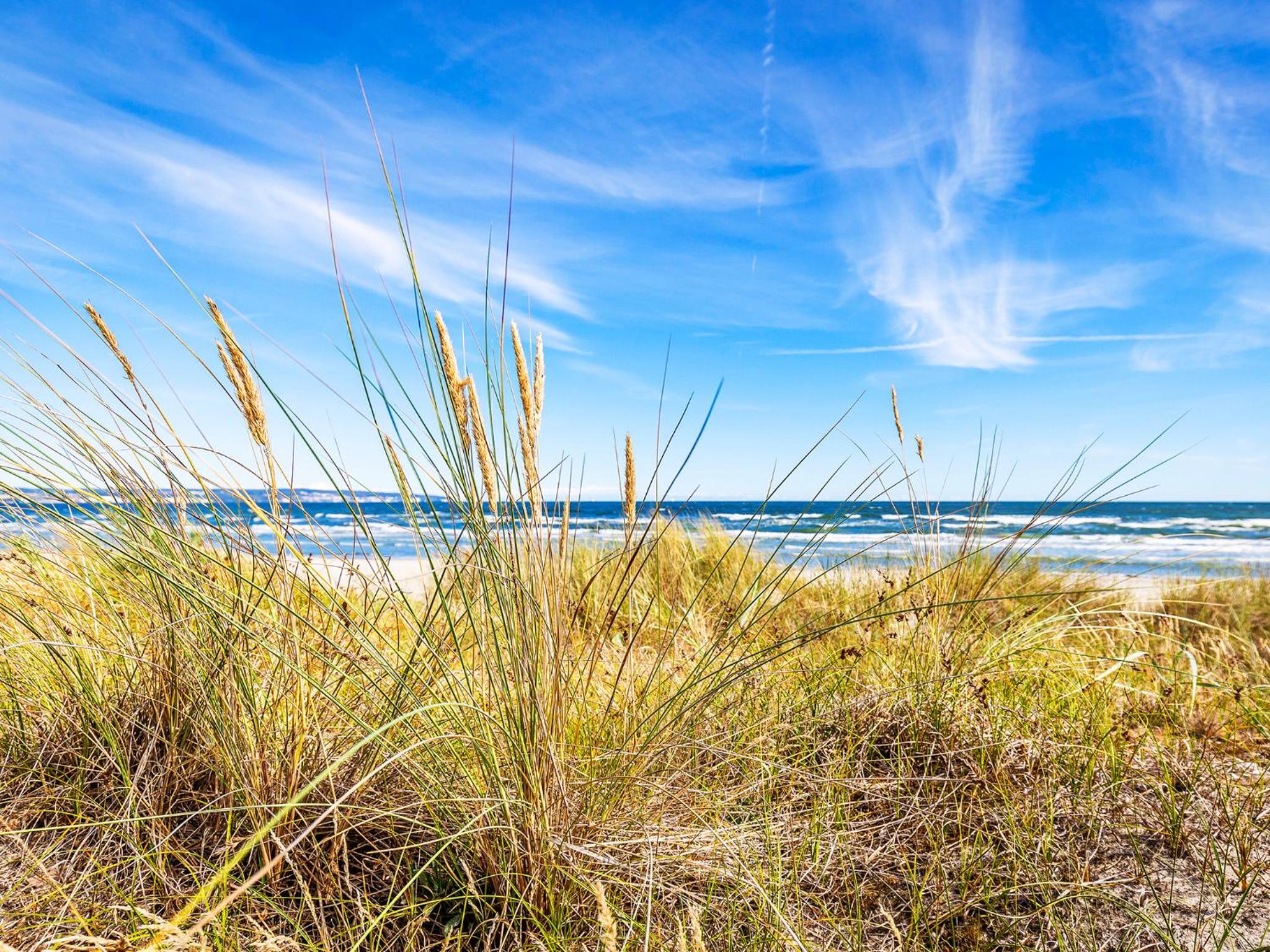 Prora - Ferienwohnung mit Dachterrasse, Balkon, 2 Strandkoerben am Strand und Waschmaschine - Kingfisher