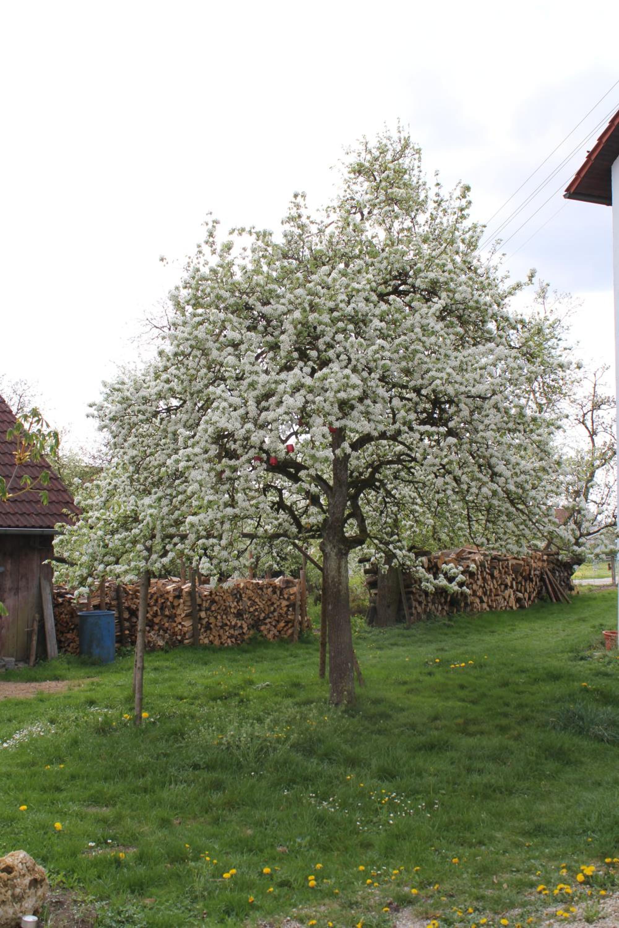 Landgasthof Weberhans