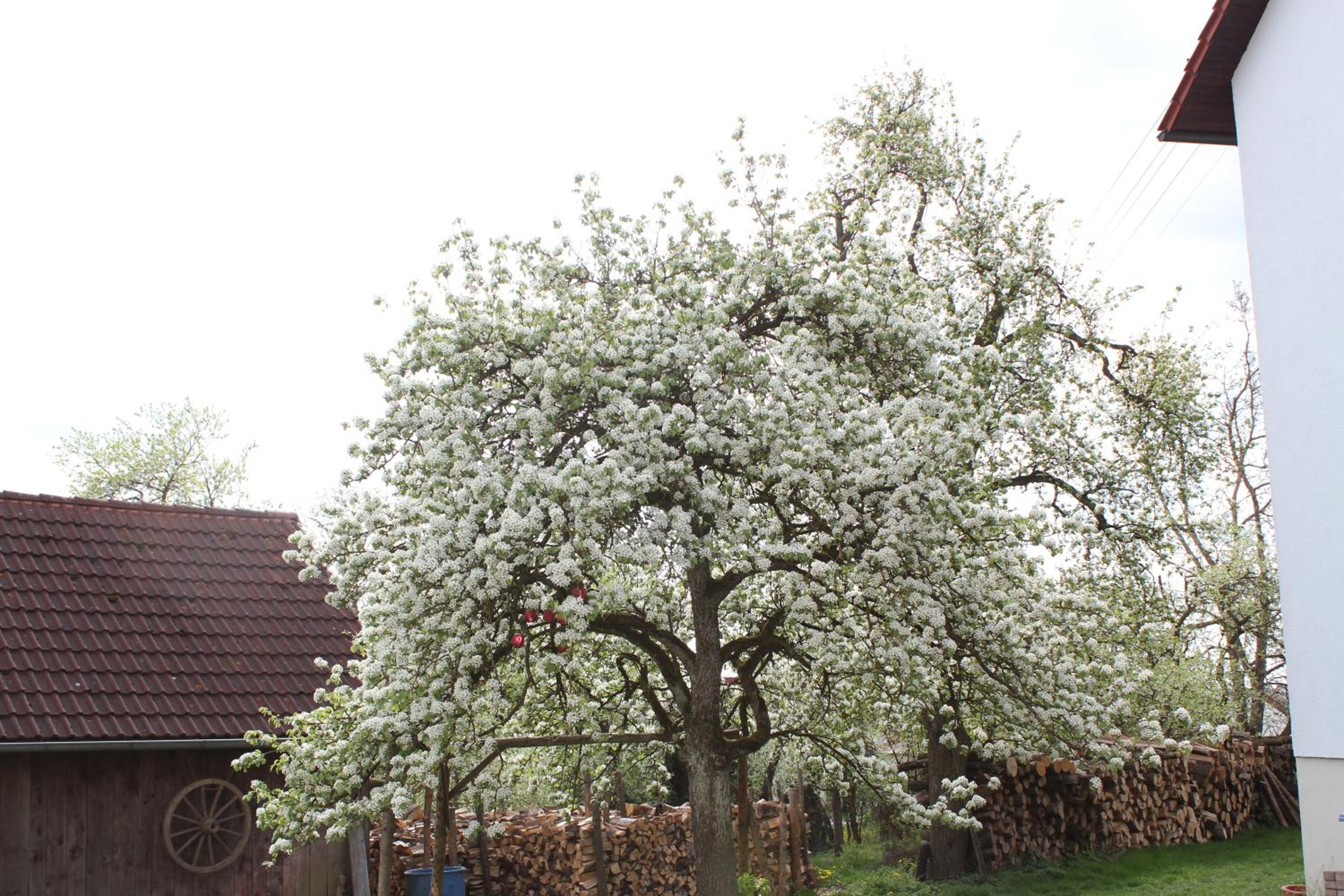 Landgasthof Weberhans