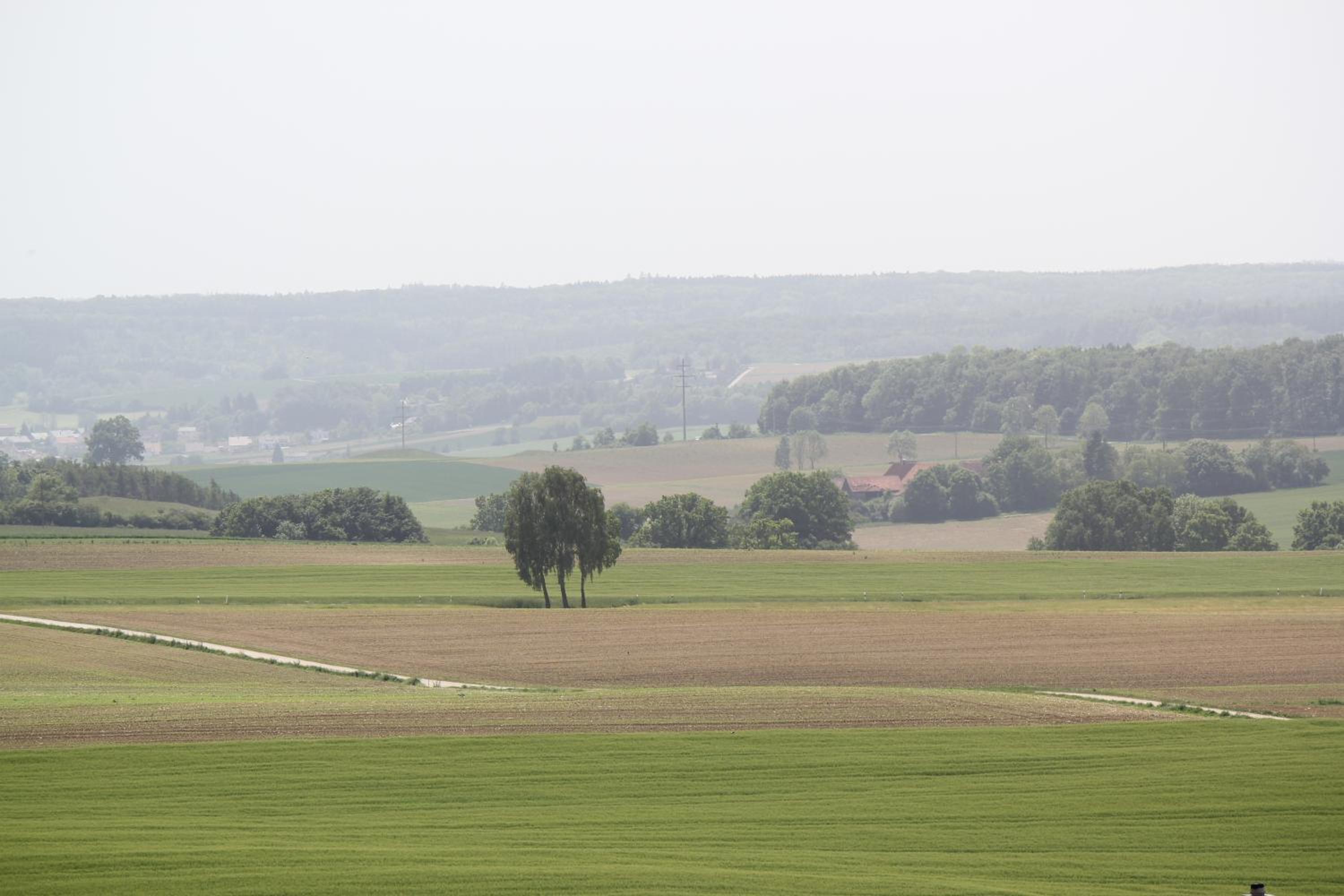 Landgasthof Weberhans