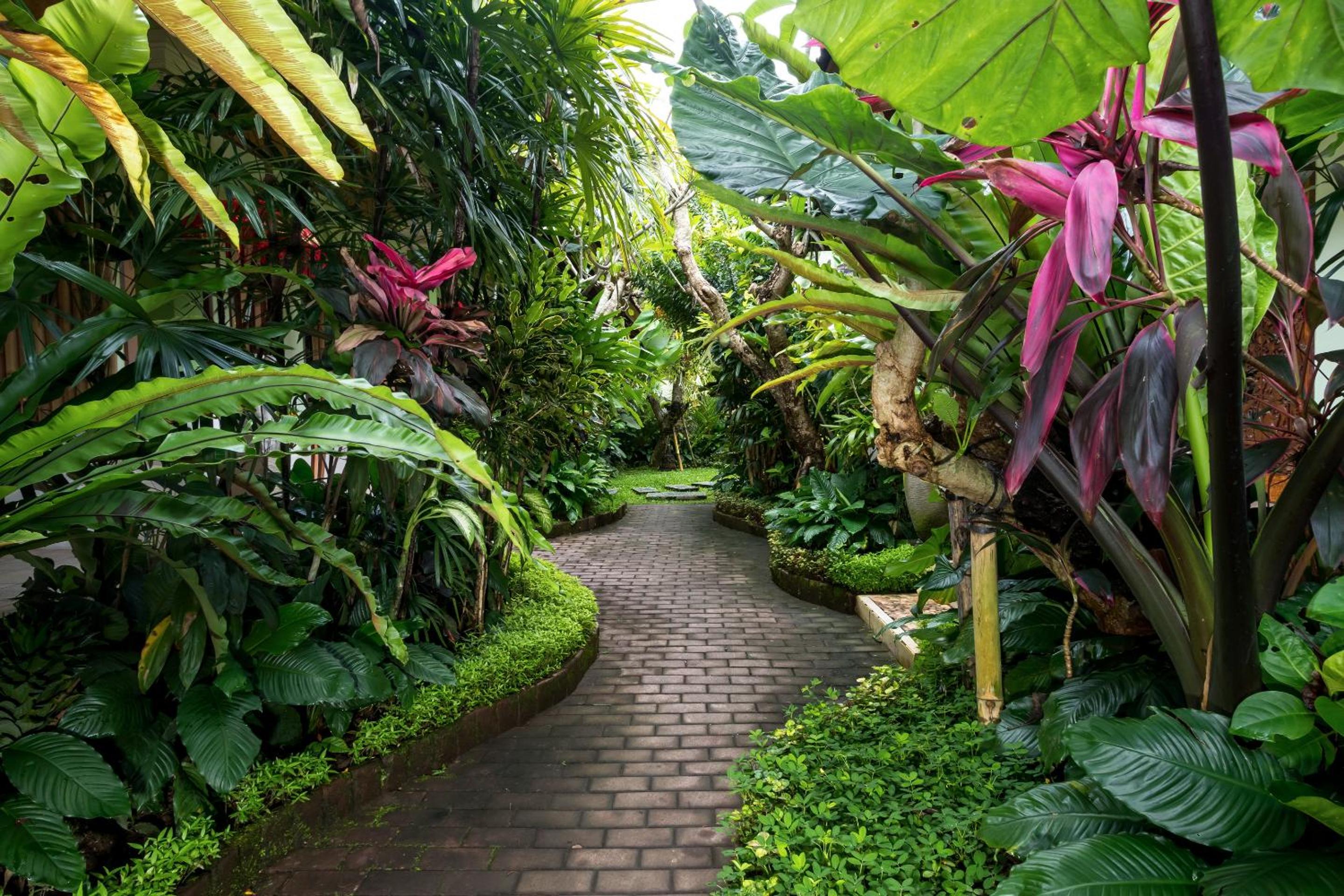 The Tunjung Ubud Retreat