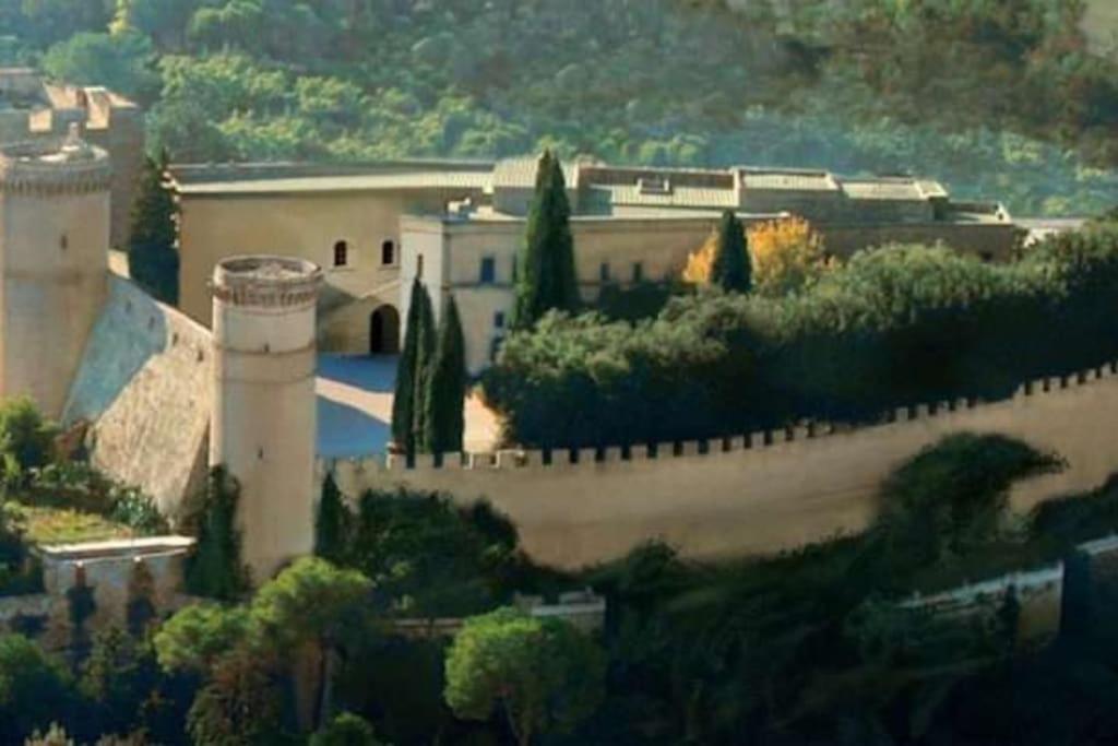 Villa Medici - Noble 19th Century Villa & Pool view 5