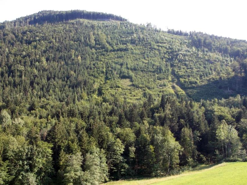 Kleine einfache Ferienwohnung in malerischer Umgebung Salzburgs
