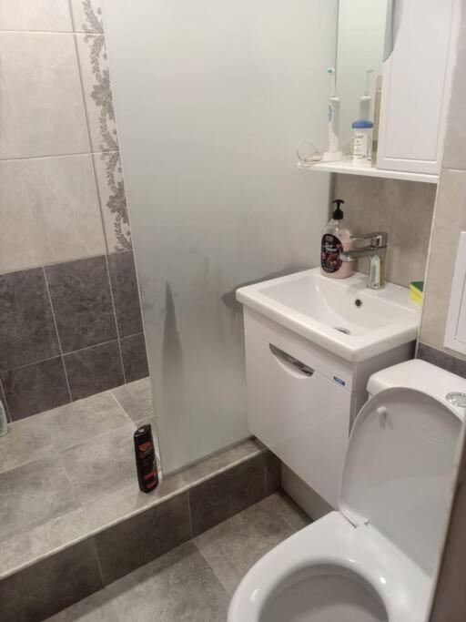 Lovely two bedrooms apartment in center Sevan