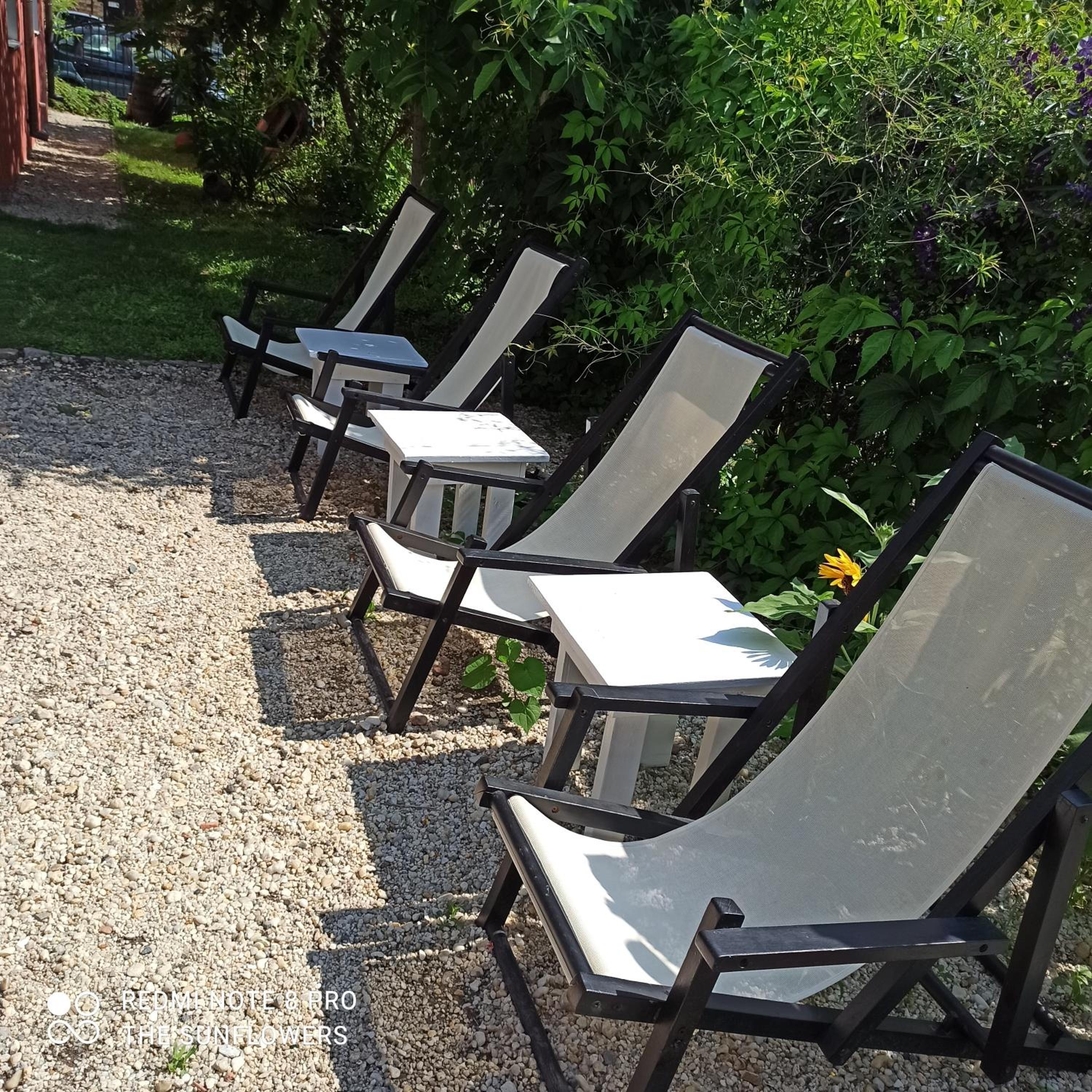 Guest House Sunflowers