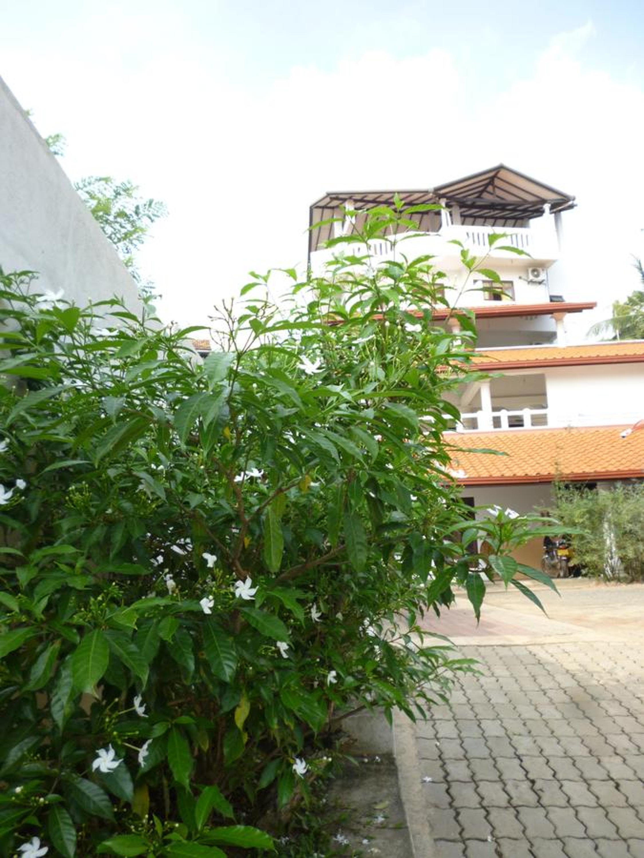 Photo 16