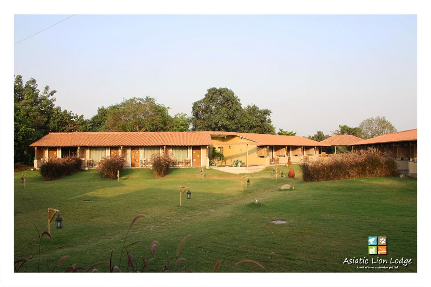 Asiatic Lion Lodge