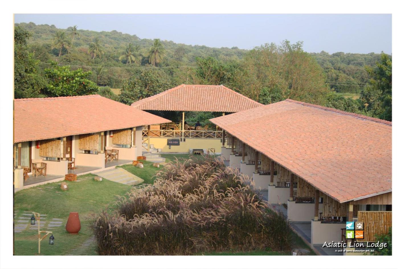 Asiatic Lion Lodge