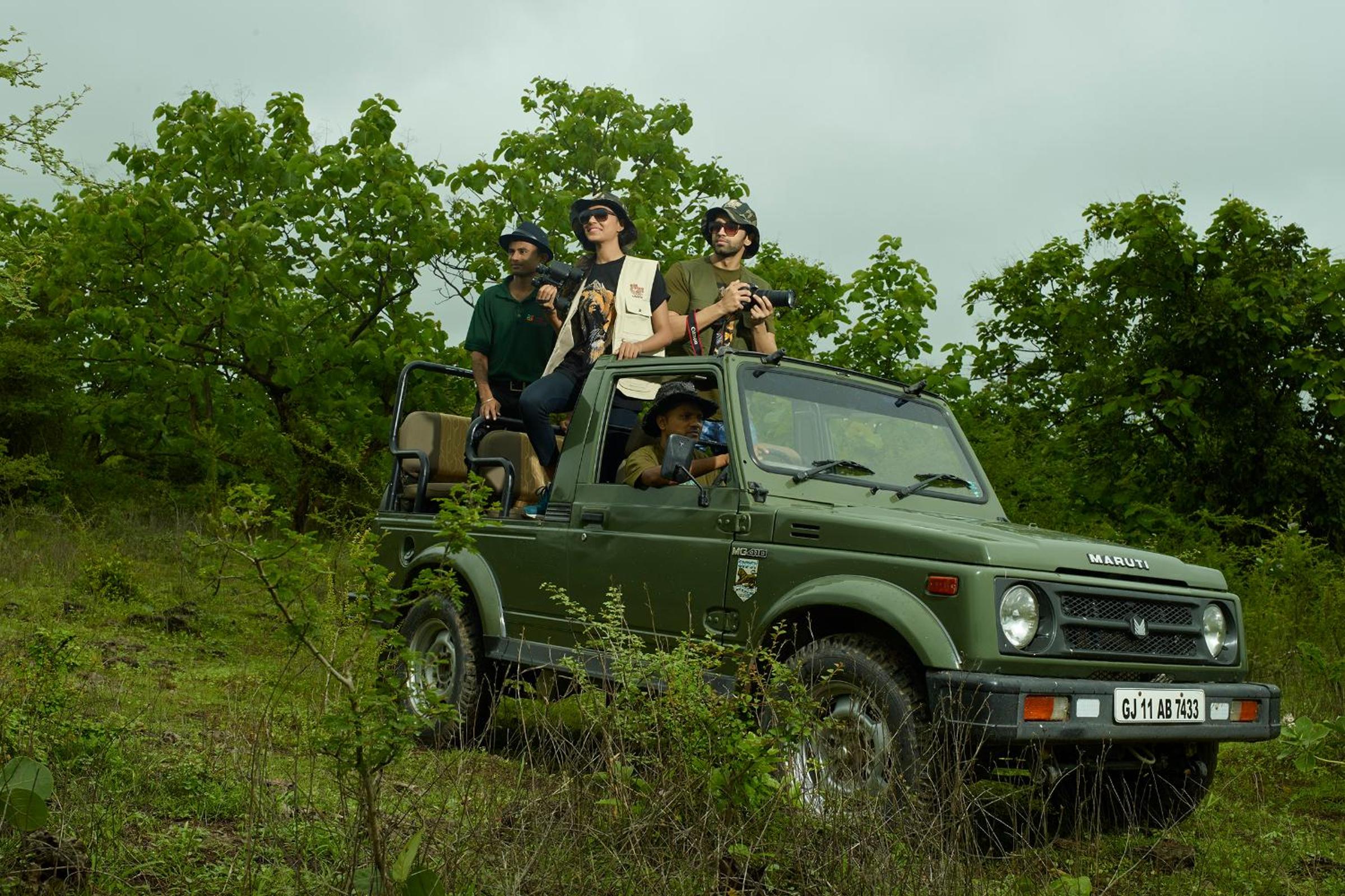 Asiatic Lion Lodge