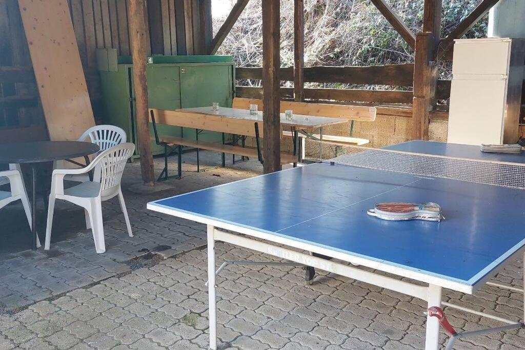 Große tolle 4 Zimmer Ferienwohnung im Herzen des Odenwaldes