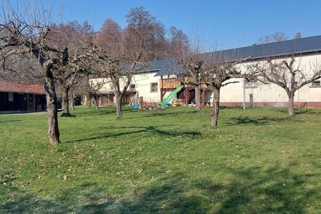 Große tolle 4 Zimmer Ferienwohnung im Herzen des Odenwaldes