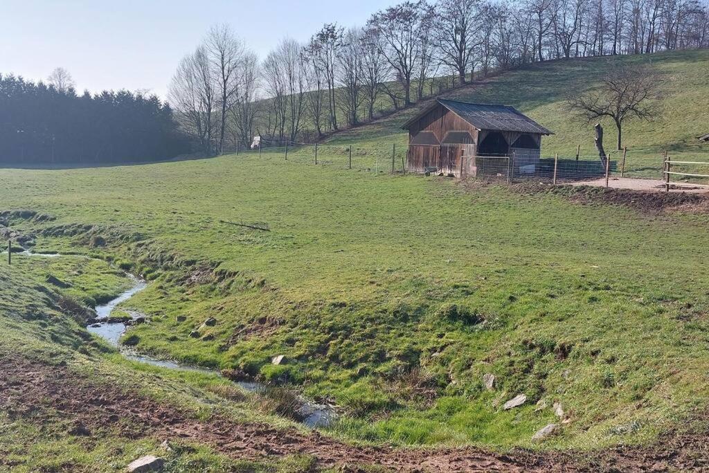 Große tolle 4 Zimmer Ferienwohnung im Herzen des Odenwaldes