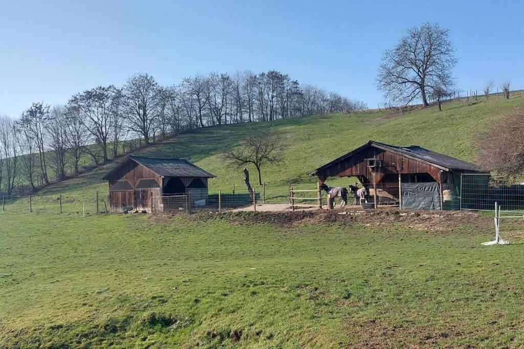 Große tolle 4 Zimmer Ferienwohnung im Herzen des Odenwaldes