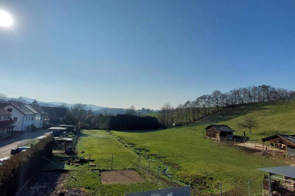 Große tolle 4 Zimmer Ferienwohnung im Herzen des Odenwaldes