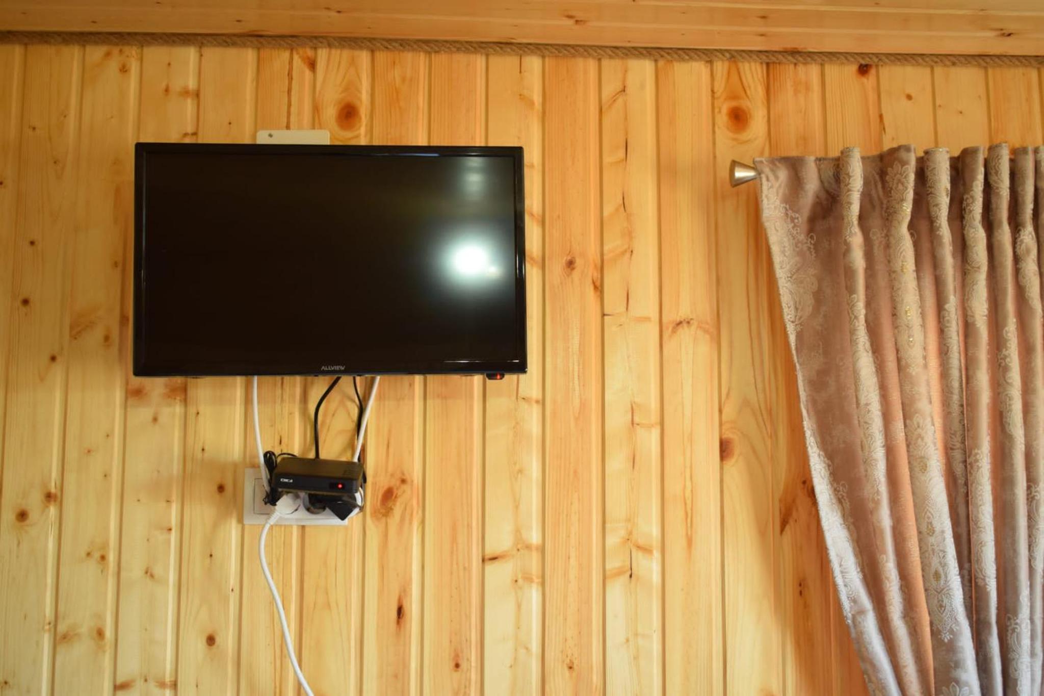 Cabana doi mesteceni