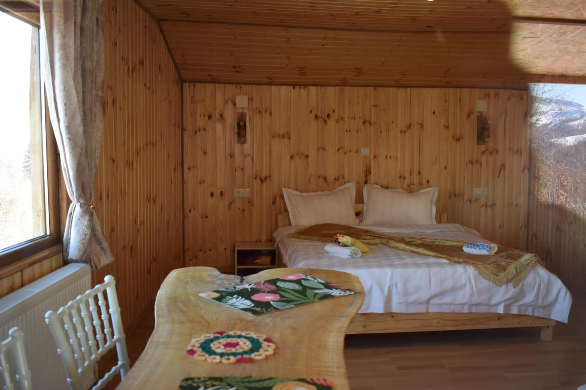Cabana doi mesteceni