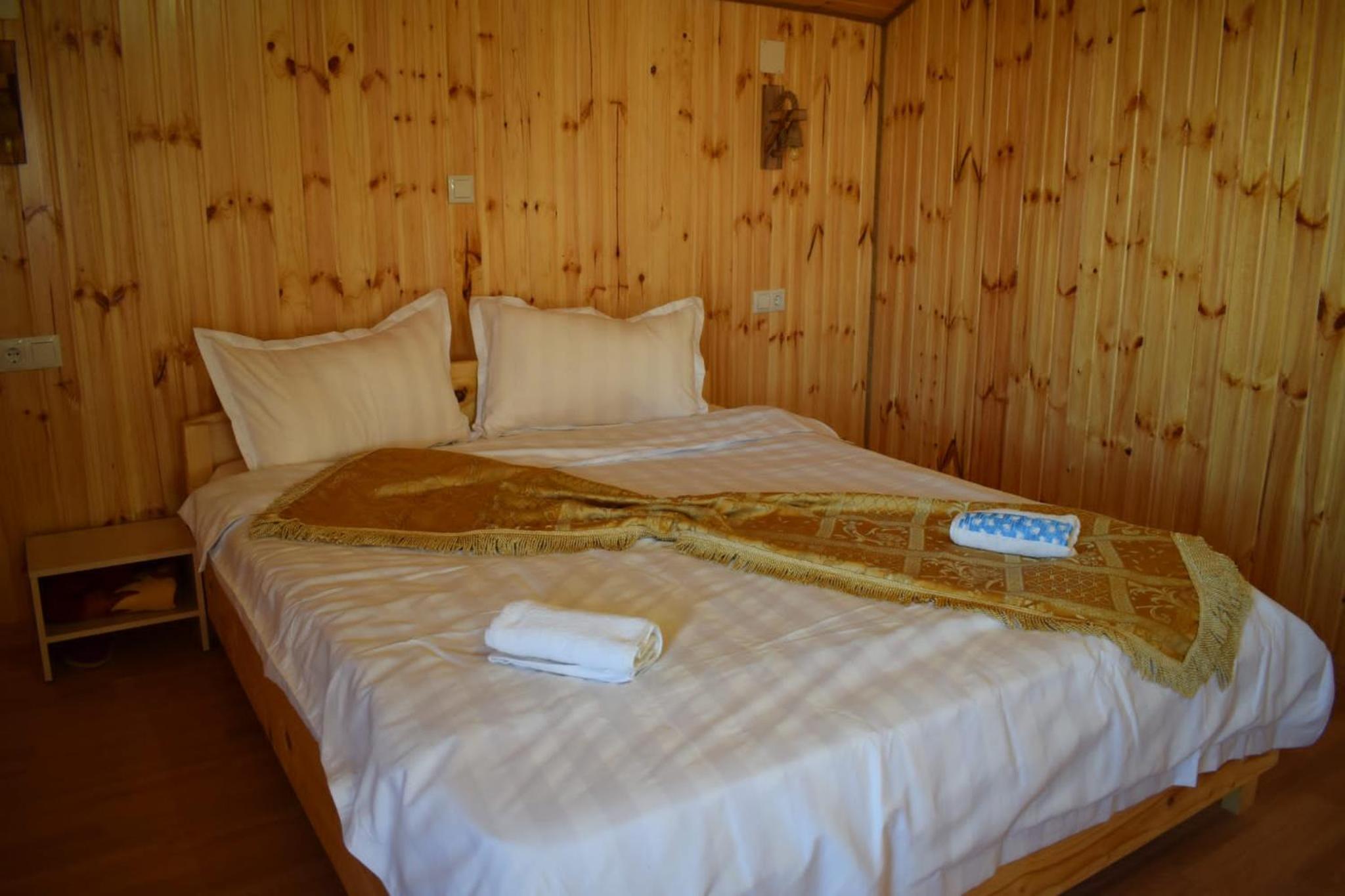 Cabana doi mesteceni