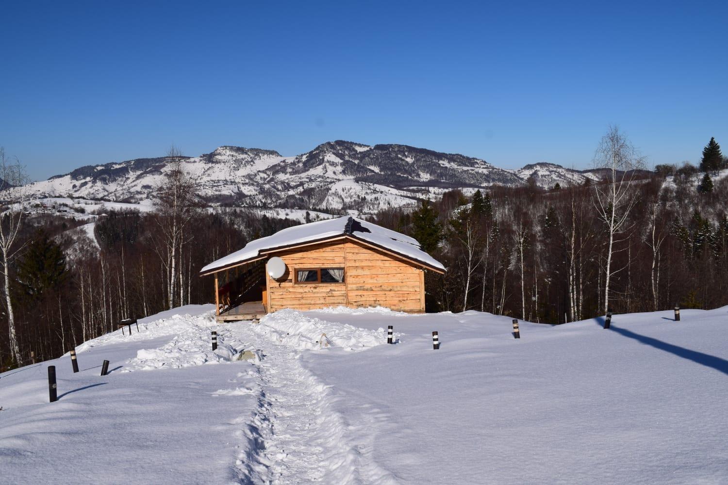 Cabana doi mesteceni
