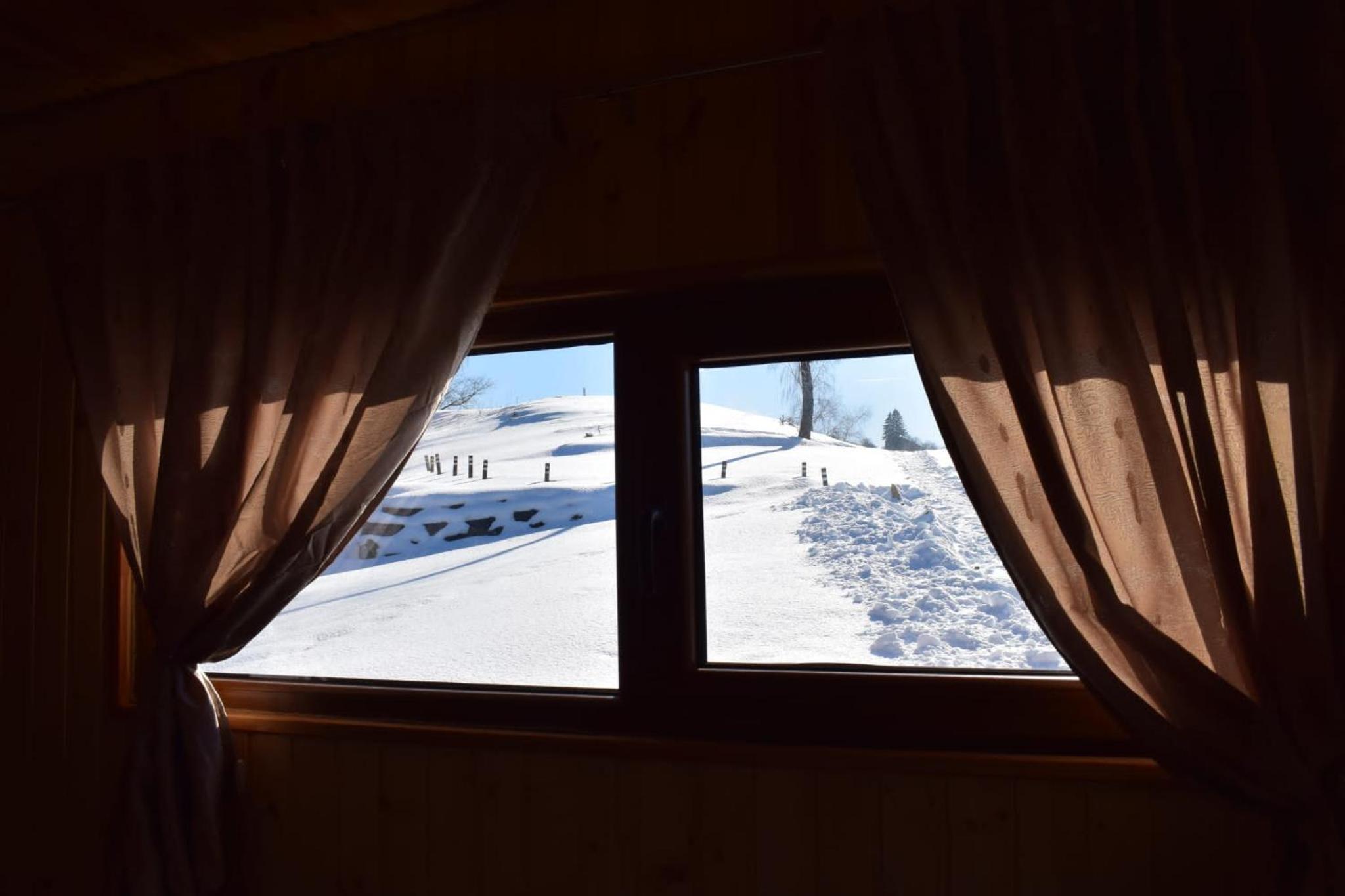 Cabana doi mesteceni