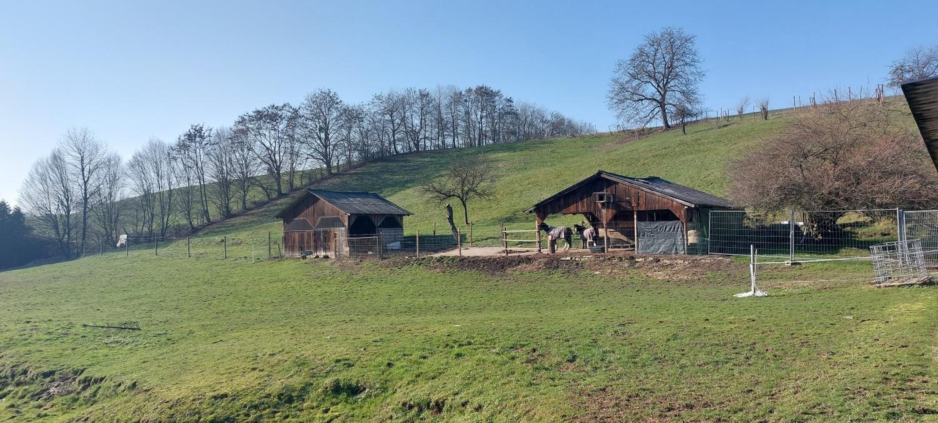 Große tolle 4 Zimmer Ferienwohnung im Herzen des Odenwaldes
