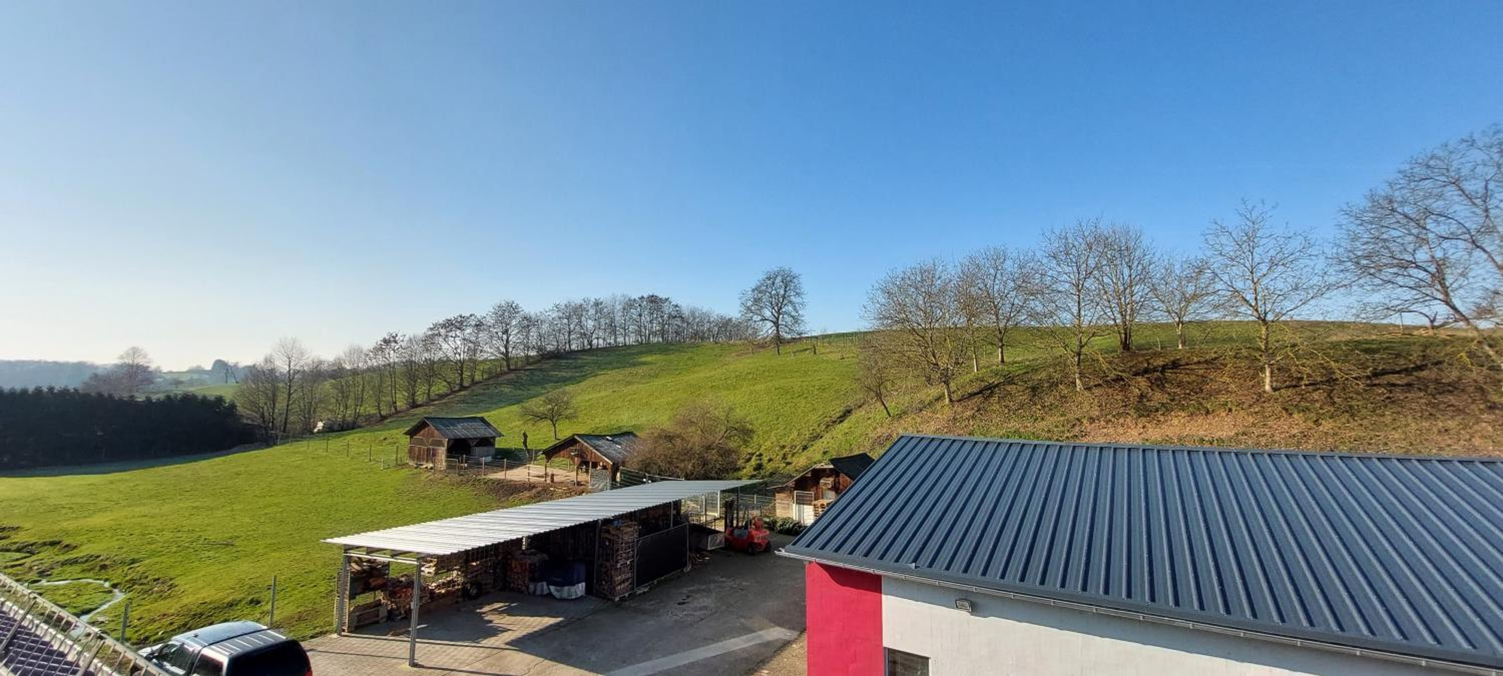 Große tolle 4 Zimmer Ferienwohnung im Herzen des Odenwaldes