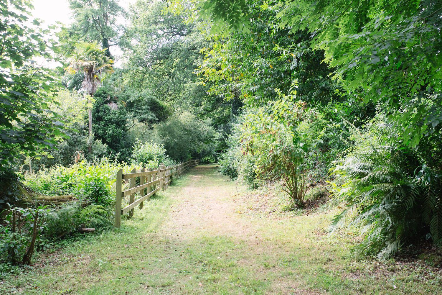 Photo 29