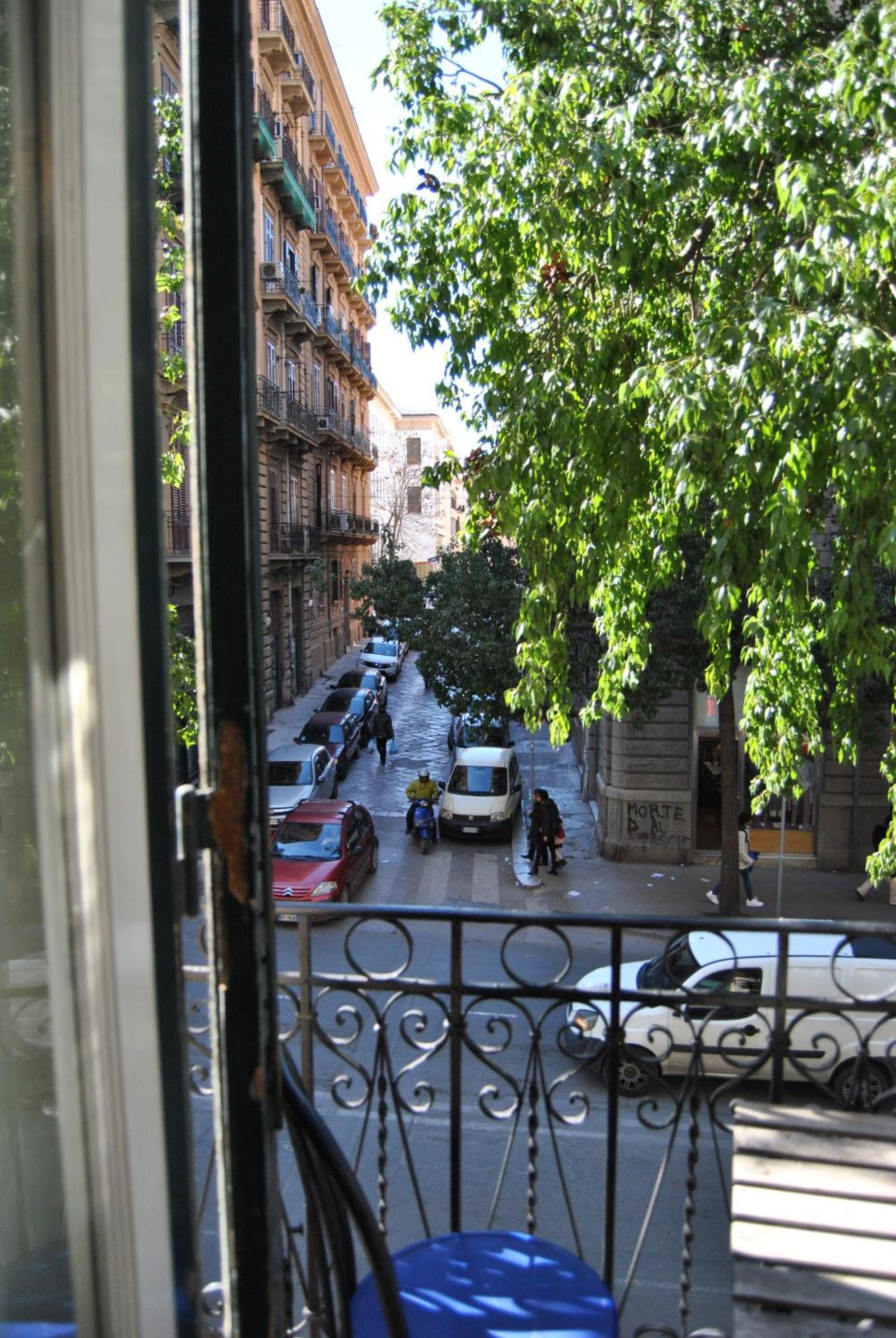Photo 43