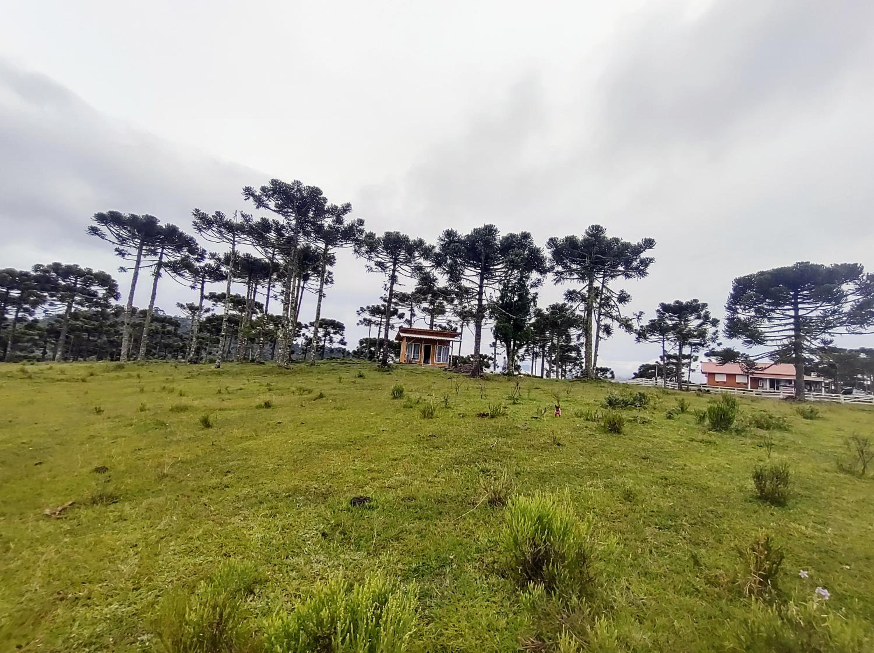 Cabana Fazenda Borba
