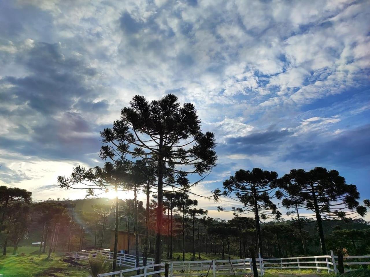 Cabana Fazenda Borba