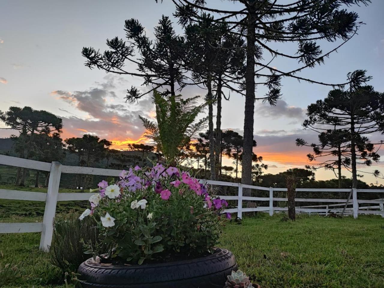 Cabana Fazenda Borba