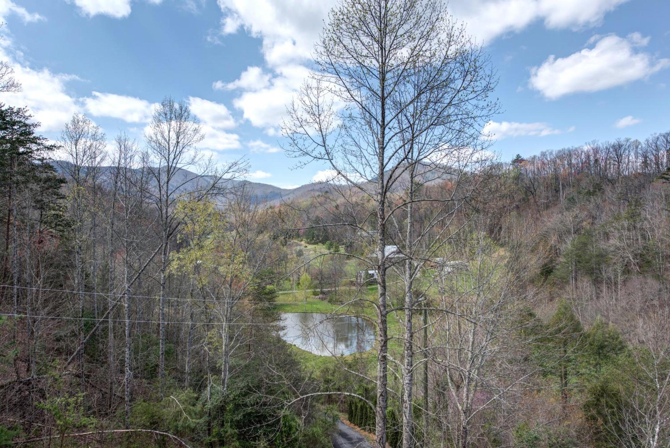 Lazy Cub Lodge view 4